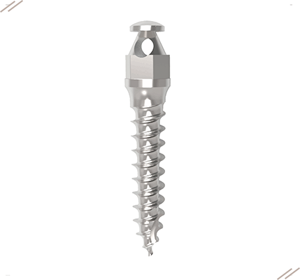 アブソアンカーⅢ スモールヘッド